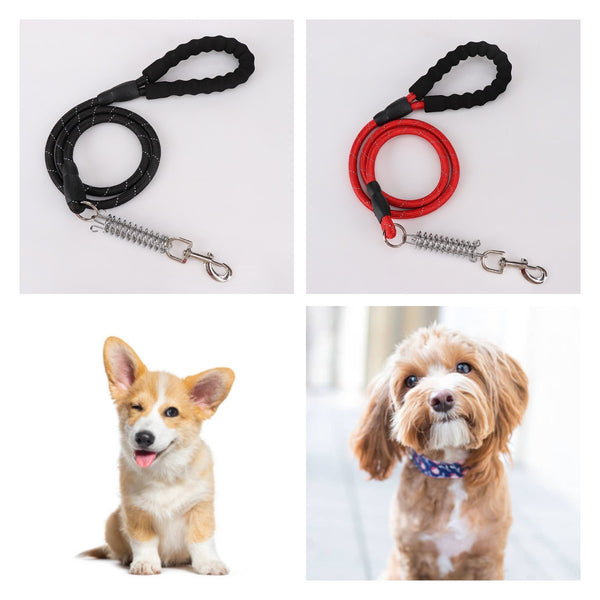 Durable Reflective Dog Leash with Comfort Grip and Shock-Absorbing Spring
