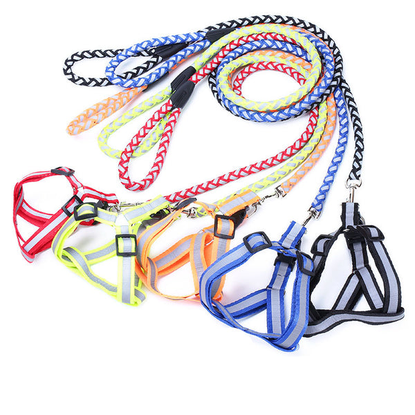 High-Visibility Dog Harness and Matching Leash Combo for Outdoor Safety