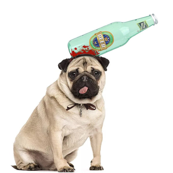 Ready Stock Ready Stock & OEM Interesting Wine Bottle Cat Dog Hat for Hollowen Festival | Feisuo Pet