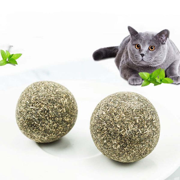 Ready Stock Wholesale & OEM Cat Treats Catnip Ball - Feisuo Pet