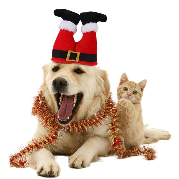 Ready Stock Wholesale & OEM Christmas Clown Hat for Pets | Feisuo Pet