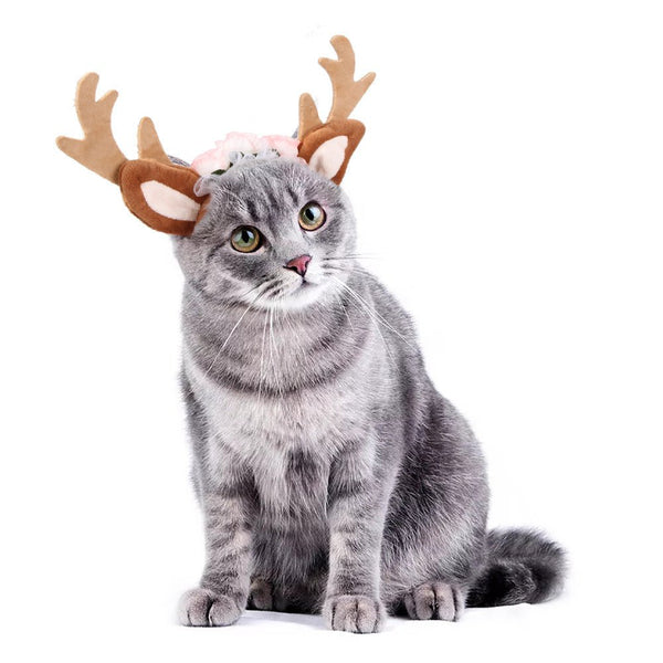 Ready Stock Wholesale & OEM Christmas Deer Headband Pet Decoration | Feisuo Pet