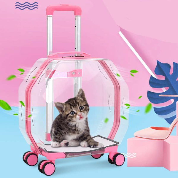 Ready Stock & Wholesale Panoramic Skylight Portable Pet Trolley Case Cat Dog Carrier Cage | Feisuo Pet