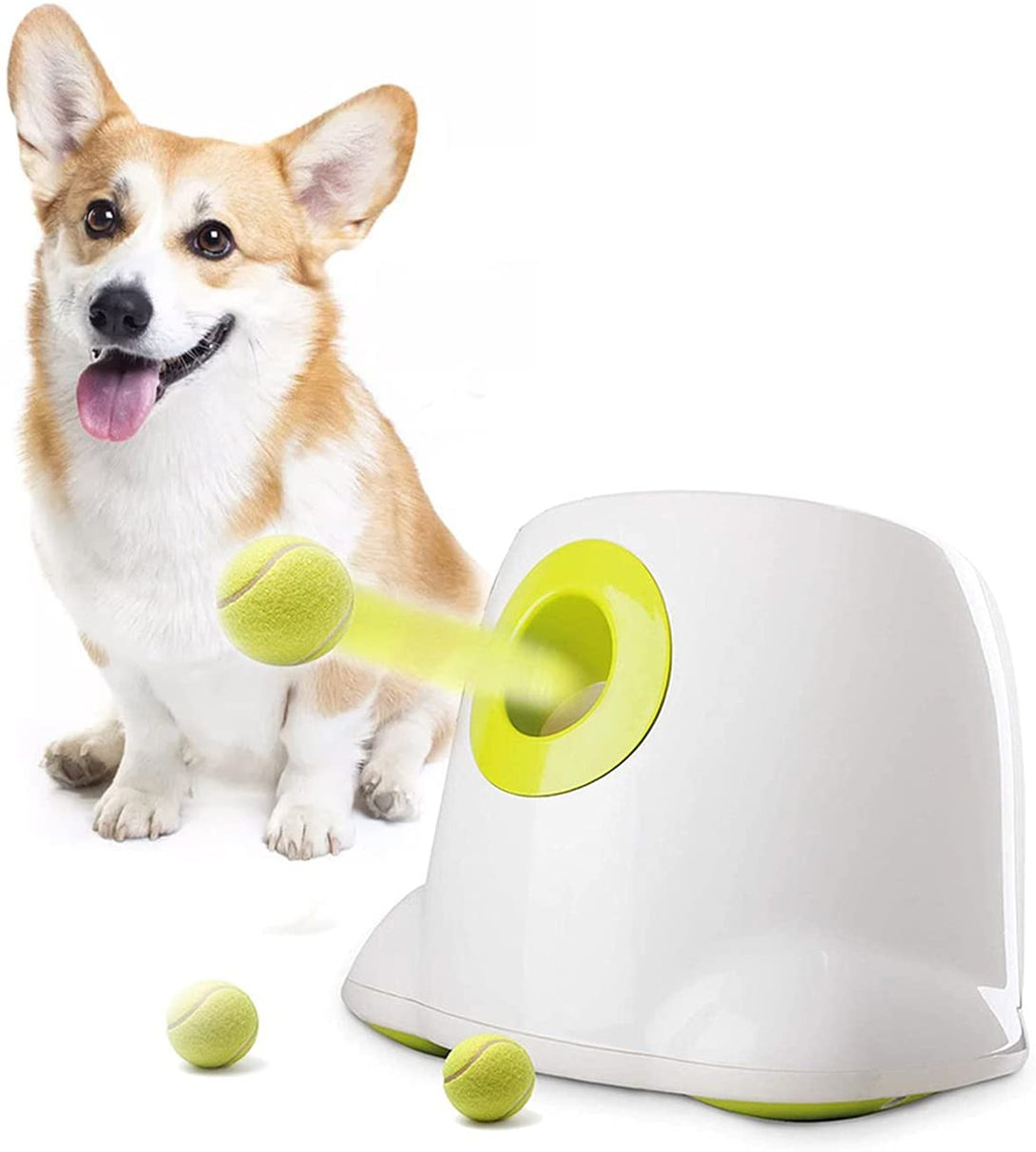 Ready Stock Wholesale & OEM AFP Automatic Dog Tennis Launcher Mini Bowler - Feisuo Pet
