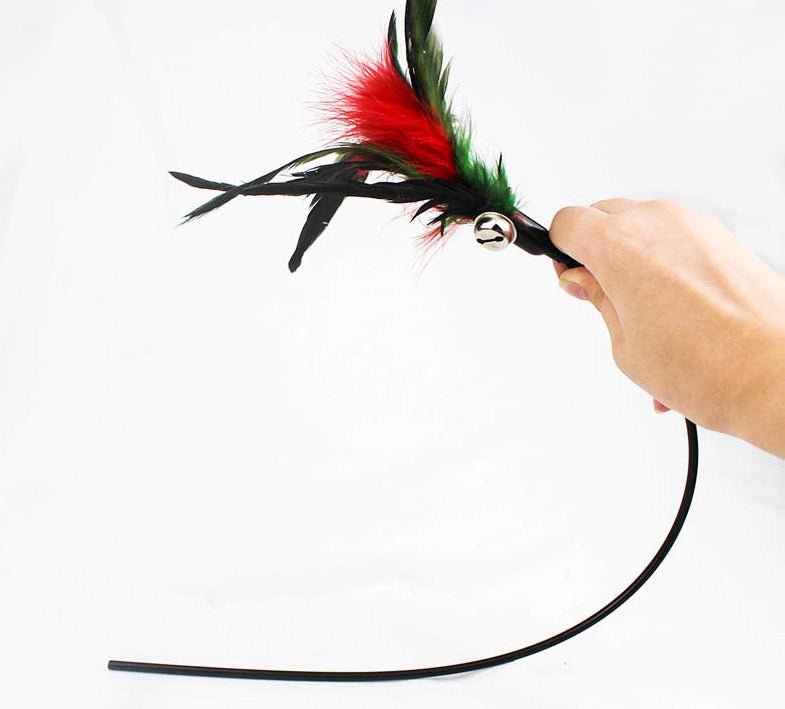 Ready Stock Wholesale & OEM Bite-resistant Colorful Feather Cat Stick - Feisuo Pet