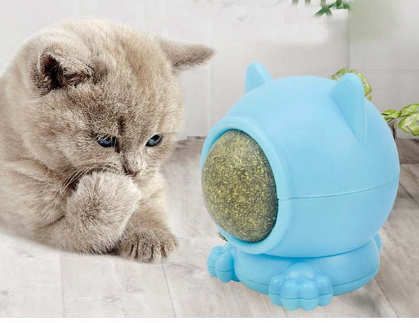 Ready Stock Wholesale & OEM Cartoon Design Rotatable Catnip Ball - Feisuo Pet