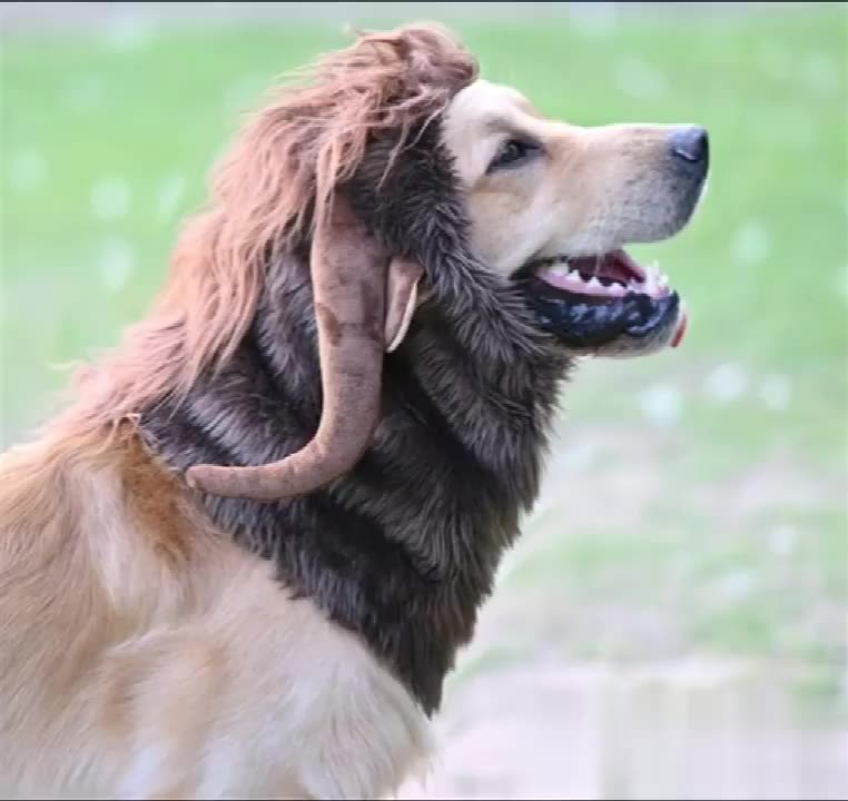 Ready Stock Wholesale & OEM Funny Bull Wig for Pet Cosplay Hat - Feisuo Pet