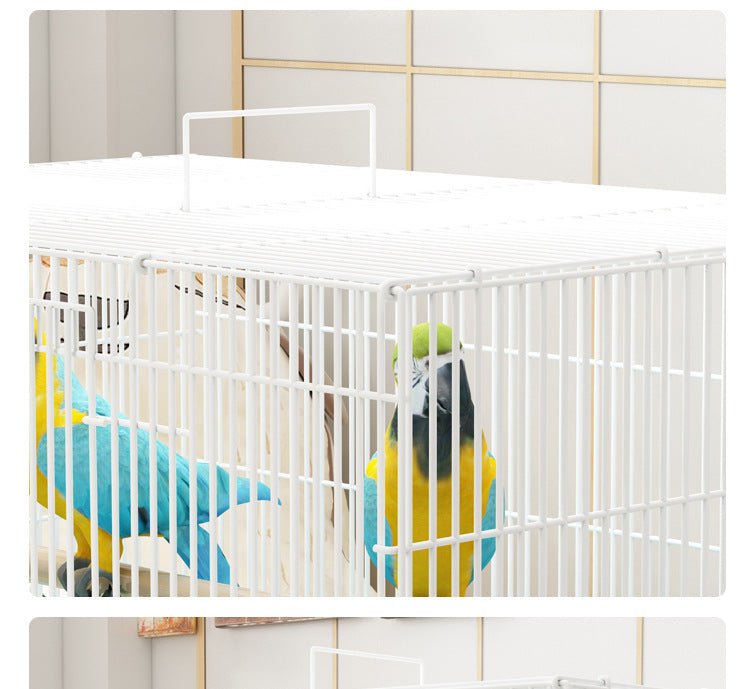 Ready Stock Wholesale & OEM Large Capicity Bird Cage Parrot House Pigeon Cage - Feisuo Pet